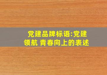 党建品牌标语:党建领航 青春向上的表述